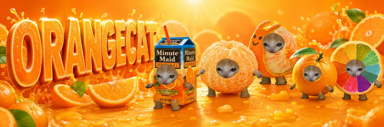 ORANGECAT banner
