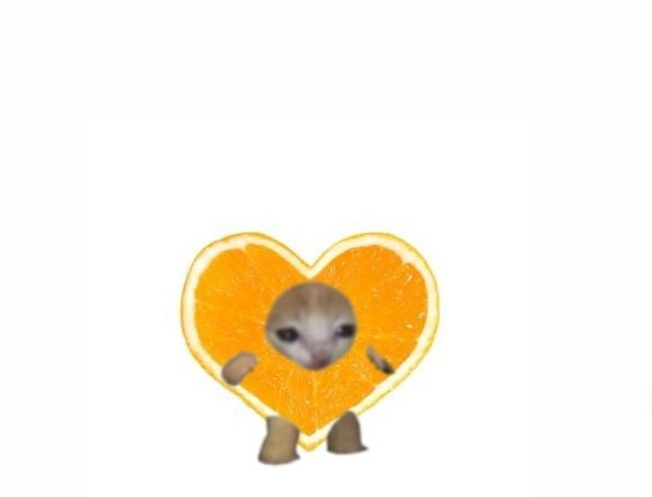orangecat heart
