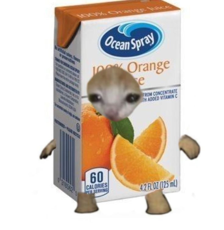 orangecat juicebox