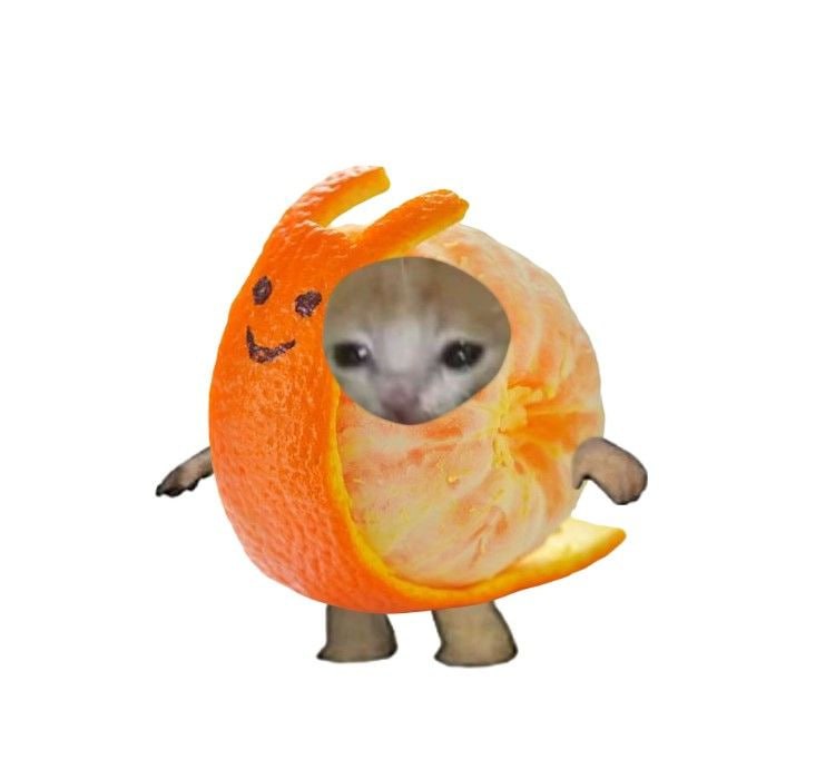 orangecat half peeled